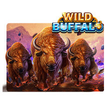 Wild Buffalo - ra88a