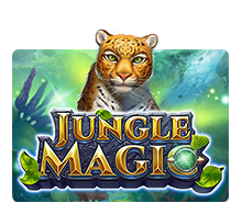 Jungle Magic - Live